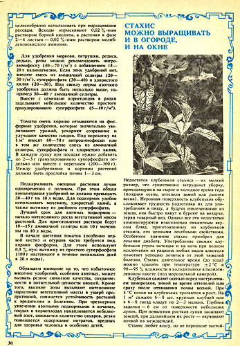 журнал "Картофель и овощи" №2, 1991